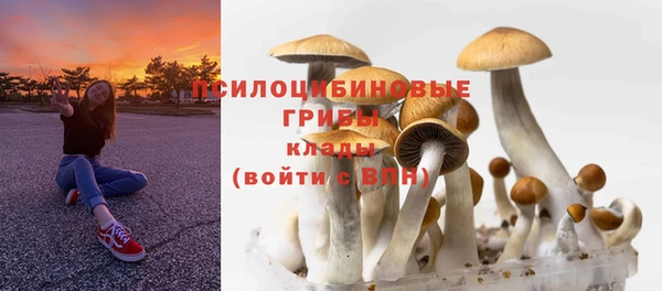 дурь Касимов